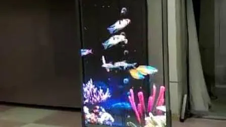 Newest LED Displays P2.84-6.25 Indoor Standing Floor Transparent LED Poster Displays