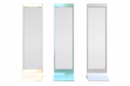 Newest LED Displays P2.84-6.25 Indoor Standing Floor Transparent LED Poster Displays